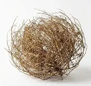 Reference to Video example: a dry tumbleweed